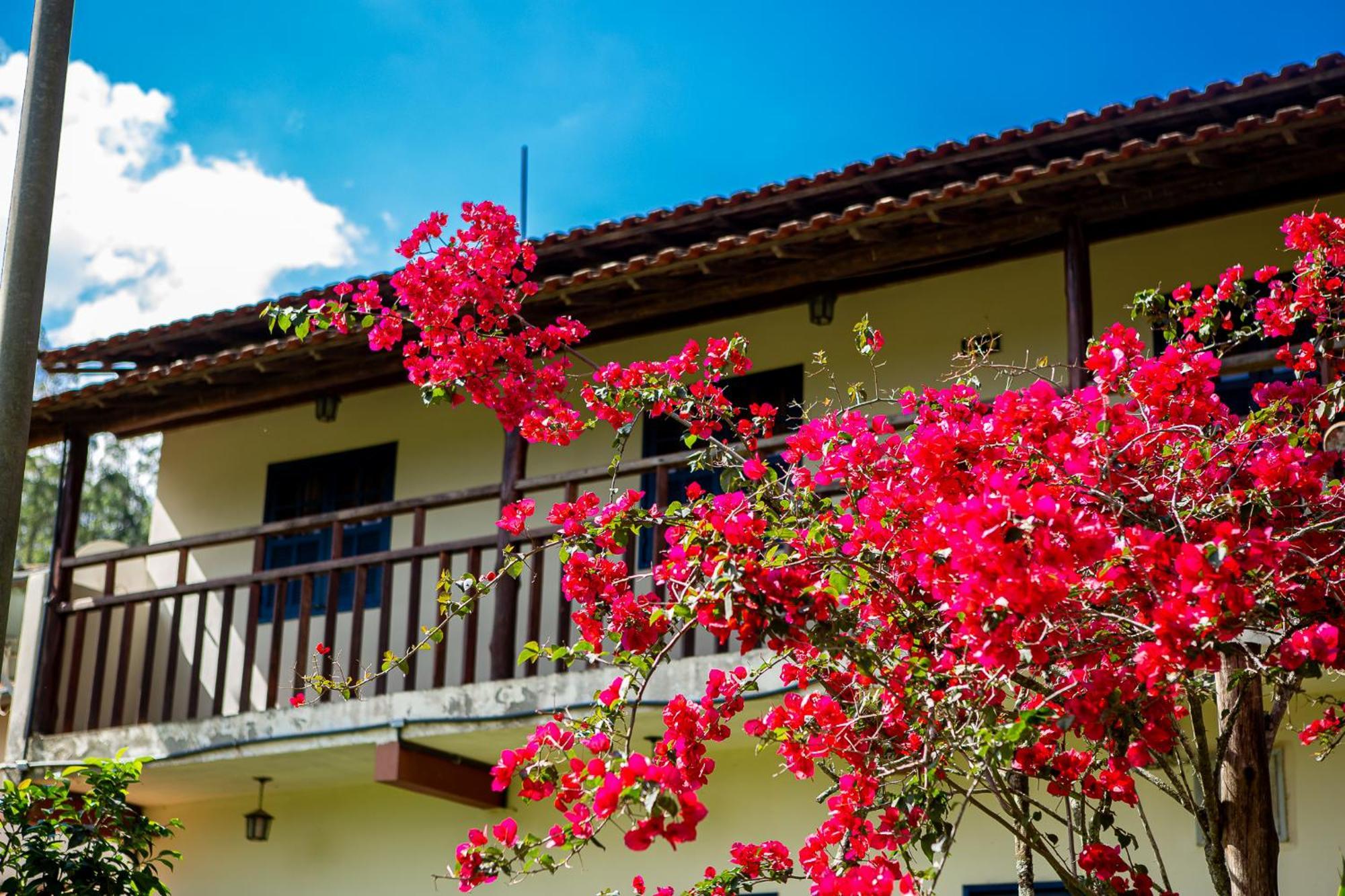 Fazenda Hotel Alvorada Santos Dumont Exterior foto